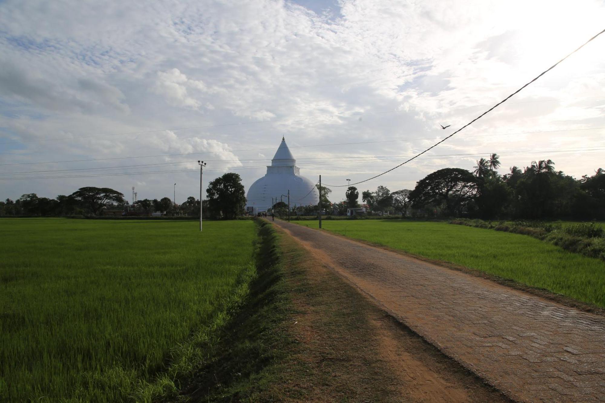 The Yala City Guest House ティッサマハーラーマ エクステリア 写真